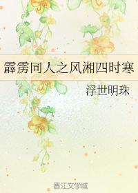 霹雳同人之风湘四时寒封面