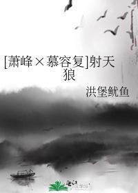 [萧峰×慕容覆]射天狼封面