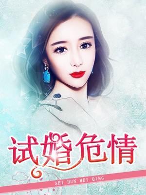 试婚危情封面