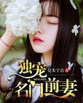 独宠名门前妻封面
