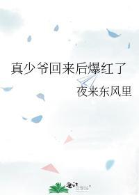 真少爷回来后爆红了封面