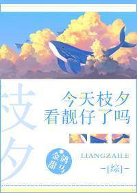 [综]今天枝夕看靓仔了吗封面
