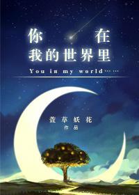 你在我的世界里封面