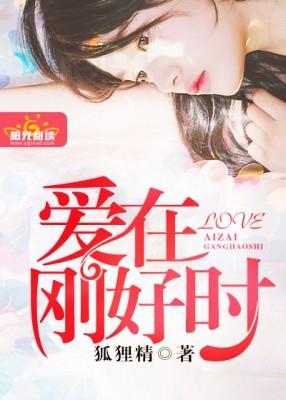 宠妻要趁早封面