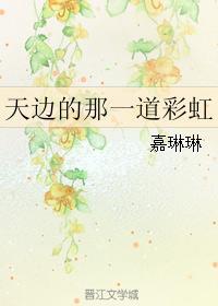 天边的那一道彩虹封面