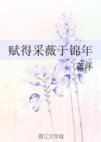 赋得采薇于锦年封面