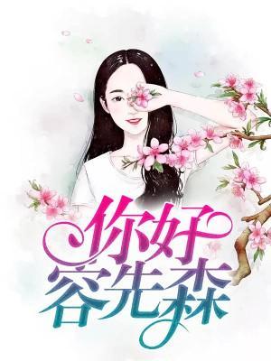 你好容先森封面
