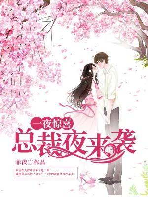一夜惊喜:总裁夜来袭封面