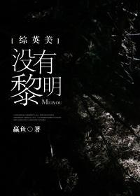 [综英美]没有黎明封面