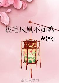 拔毛凤凰不如鸡封面