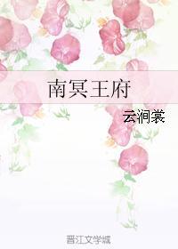 南冥王府封面