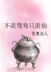 不羡鸳鸯只羡仙封面