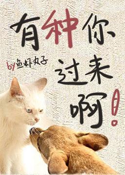 有种你过来啊!封面