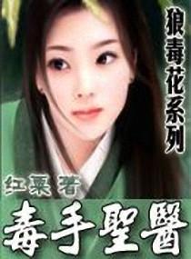 毒手圣医封面