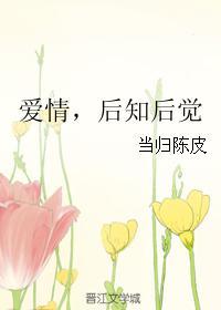 爱情,后知后觉封面
