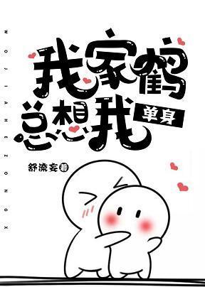 我家鹤总想我单身封面