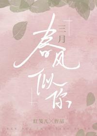 三月春风似你封面