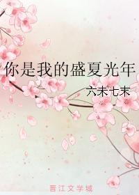 你是我的盛夏光年封面