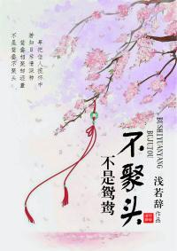 不是鸳鸯不聚头封面