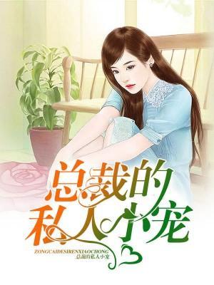 总裁的私人小宠封面
