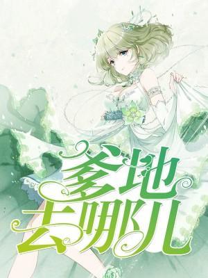爹地去哪儿封面