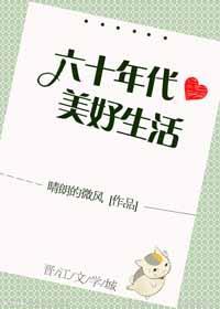 六十年代美好生活封面