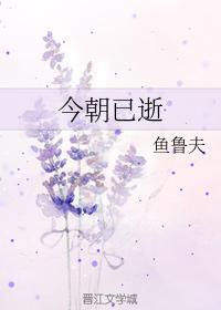 今朝已逝封面