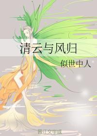清云与风归封面