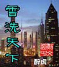 雪洗天下封面