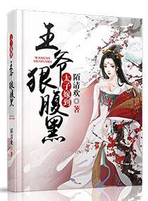 太子嫁到:王爷狠腹黑封面