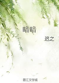暗暗封面
