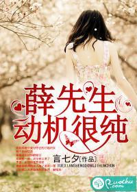 薛先生，动机很纯封面