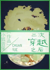 二次穿越之后封面