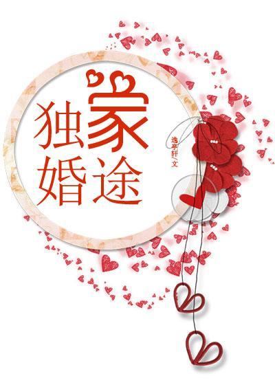 独家婚途封面