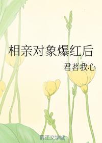 相亲对象爆红后封面