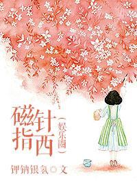 磁针指西（娱乐圈）封面