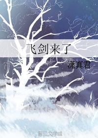 飞剑来了封面