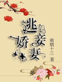 逃妾娇妻封面