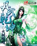 丹武干坤封面