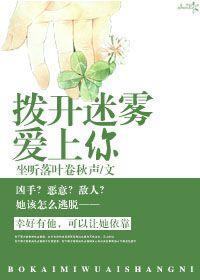 拨开迷雾爱上你封面