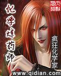 化学炼药师封面