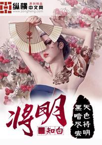 将明封面