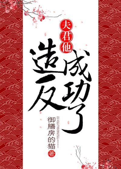 夫君他造反成功了封面