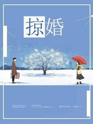 掠婚封面