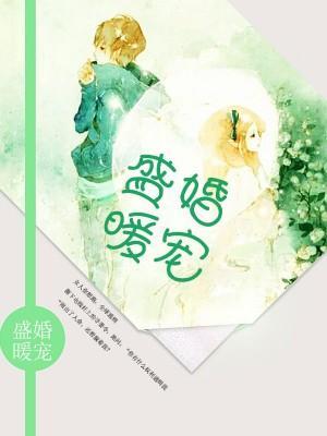 盛婚暖宠封面