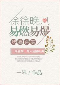 徐徐晚风,易燃易爆封面