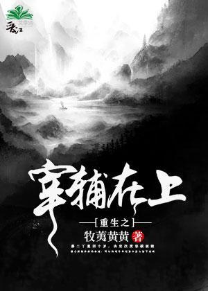 重生之宰辅在上封面