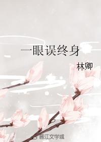 一眼误终身封面