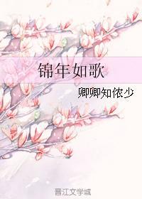 锦年如歌封面