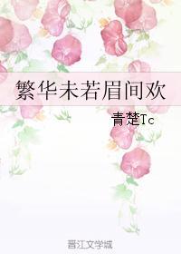 繁华未若眉间欢封面